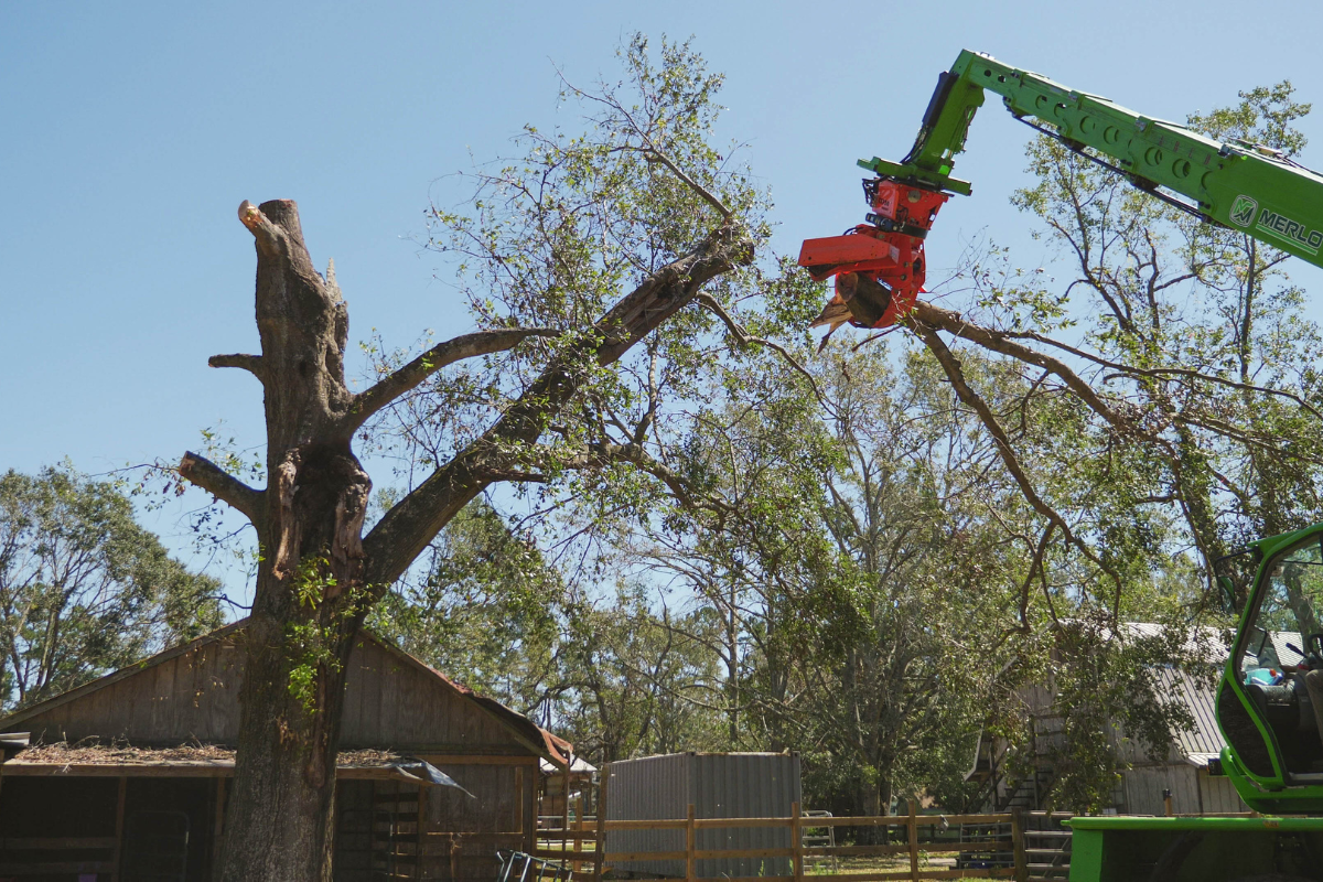 Emergency-Tree-Removal-Daphne-Fairhope-Spanish-Fort-Baldwin-County-Alabama-1