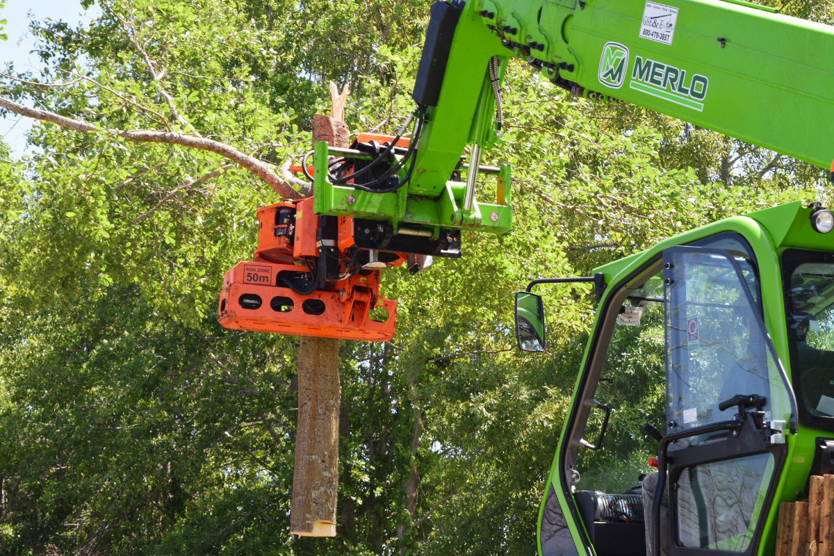 Emergency-Tree-Removal-Daphne-Fairhope-Spanish-Fort-Baldwin-County-Alabama-3