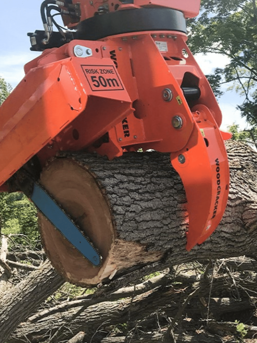 Emergency-Tree-Service-Daphne-Fairhope-Spanish-Fort-Baldwin-County-Alabama-4