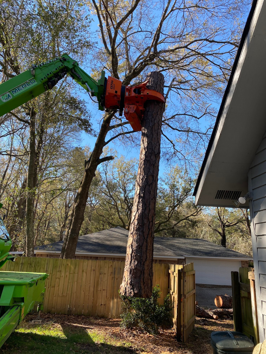Emergency-Tree-Service-Daphne-Fairhope-Spanish-Fort-Baldwin-County-Alabama-6