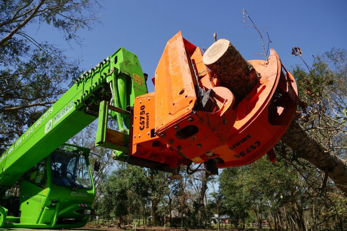 Robotic-Tree-Removal-Daphne-Fairhope-Spanish-Fort-Baldwin-County-Alabama-1