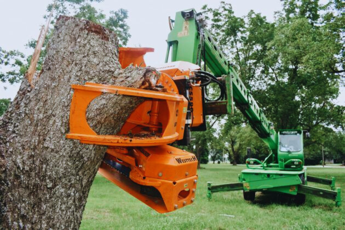 Robotic-Tree-Removal-Daphne-Fairhope-Spanish-Fort-Baldwin-County-Alabama-2
