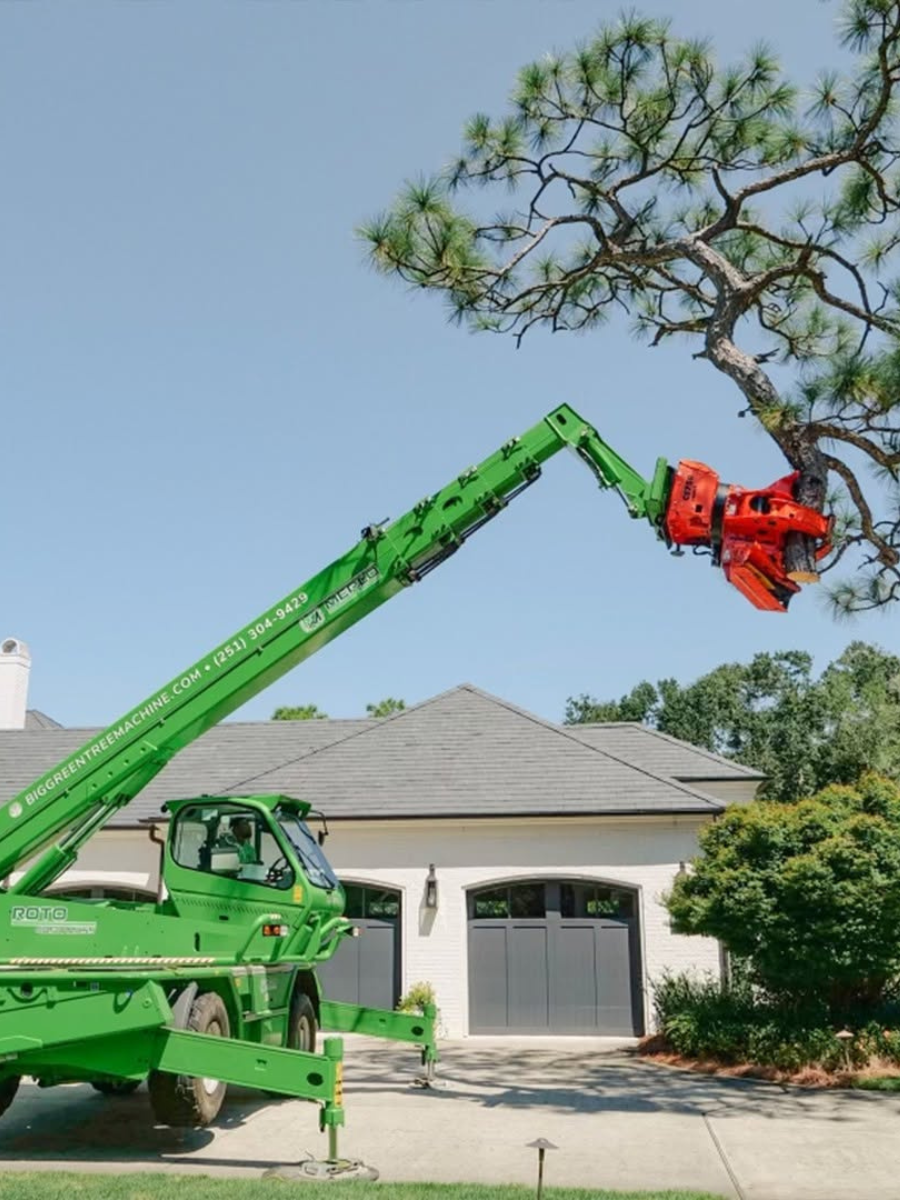 Robotic-Tree-Removal-Daphne-Fairhope-Spanish-Fort-Baldwin-County-Alabama-4