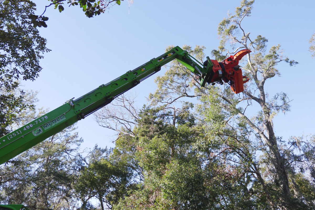 Robotic-Tree-Trimming-Daphne-Fairhope-Spanish-Fort-Baldwin-County-Alabama-1