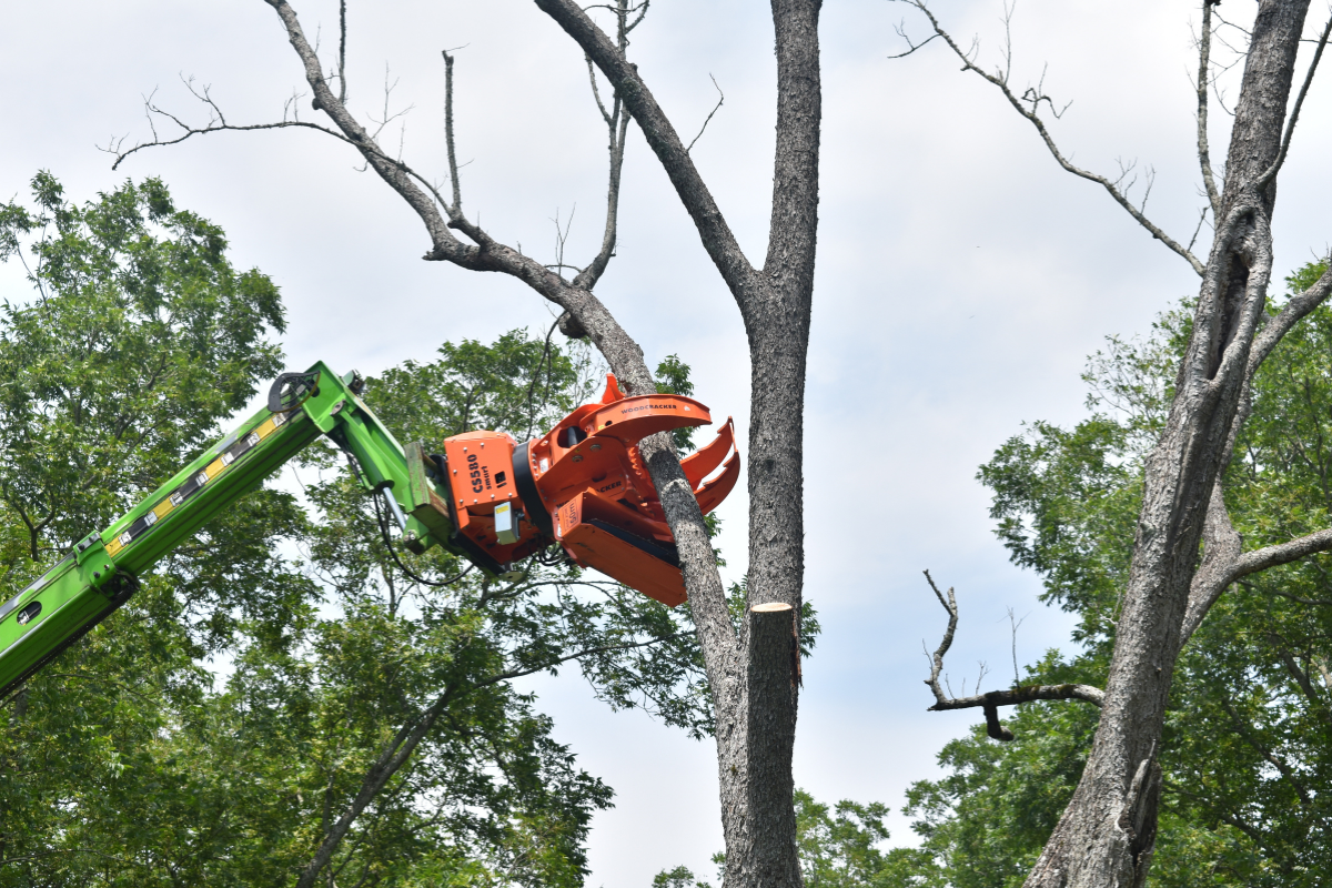 Robotic-Tree-Trimming-Daphne-Fairhope-Spanish-Fort-Baldwin-County-Alabama-2