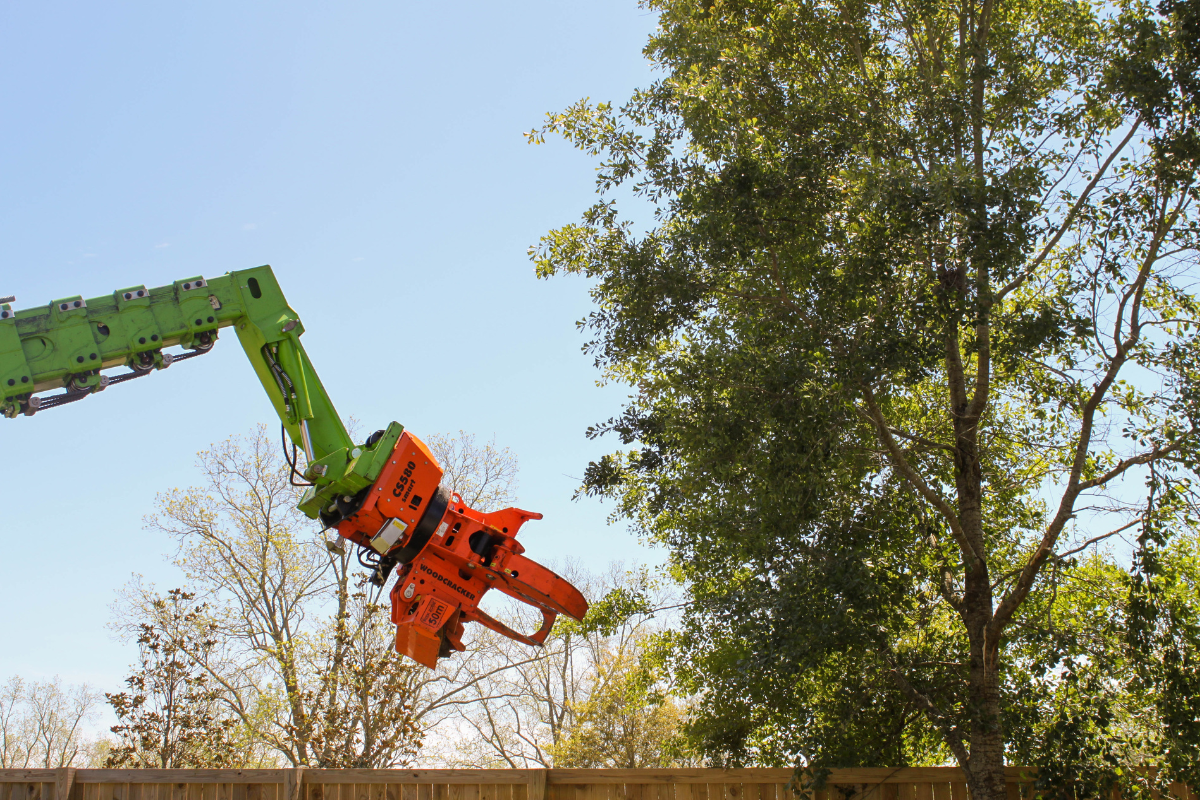 Robotic-Tree-Trimming-Daphne-Fairhope-Spanish-Fort-Baldwin-County-Alabama-3