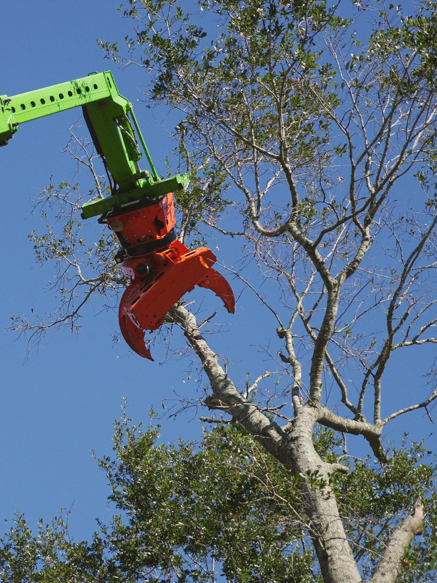 Robotic-Tree-Trimming-Daphne-Fairhope-Spanish-Fort-Baldwin-County-Alabama-5