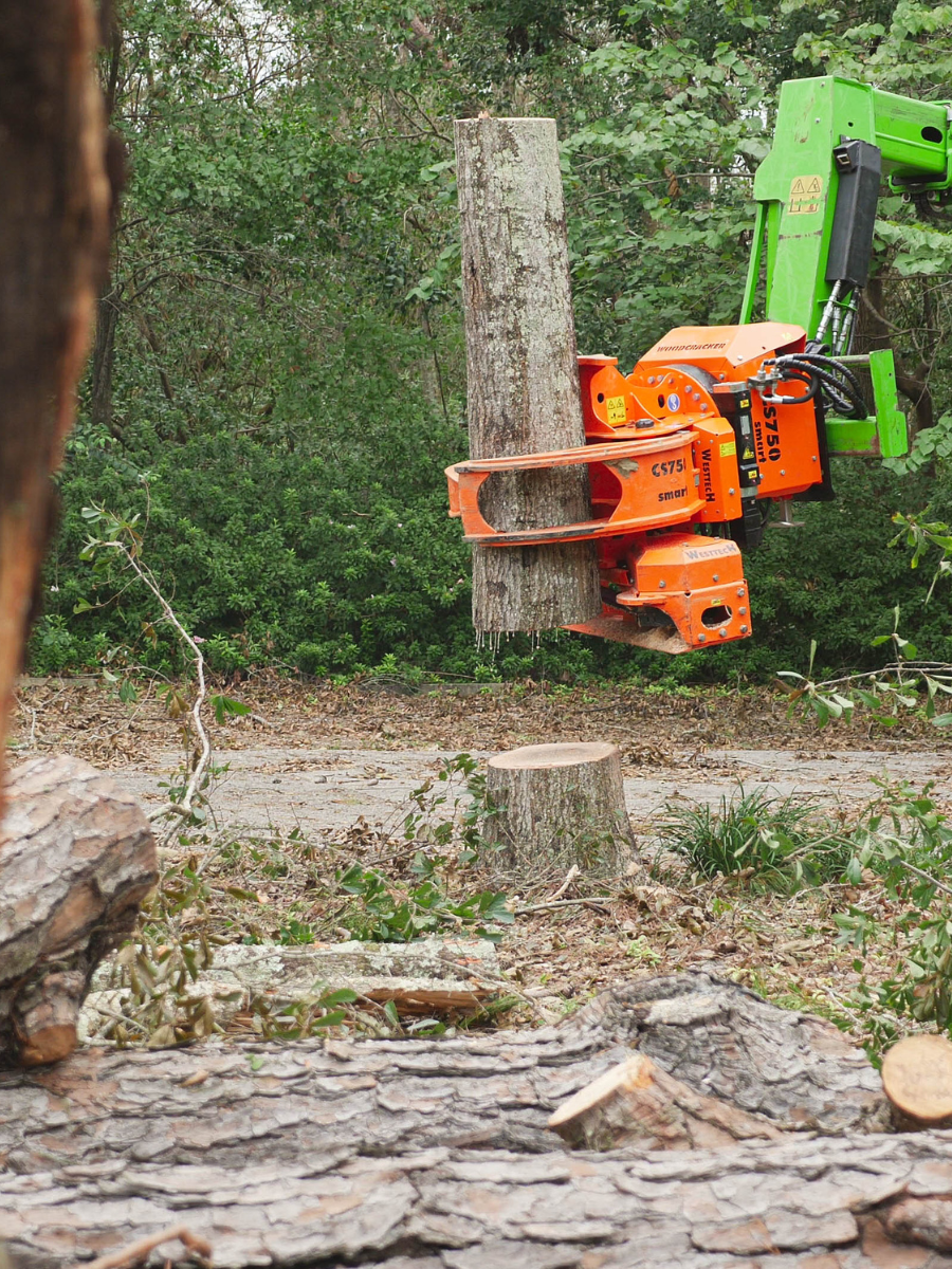 Stump-Grinding-Daphne-Fairhope-Spanish-Fort-Baldwin-County-Alabama-4