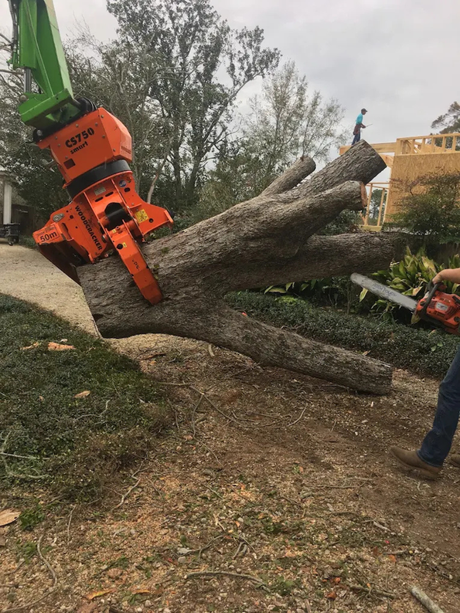 Stump-Grinding-Daphne-Fairhope-Spanish-Fort-Baldwin-County-Alabama-6
